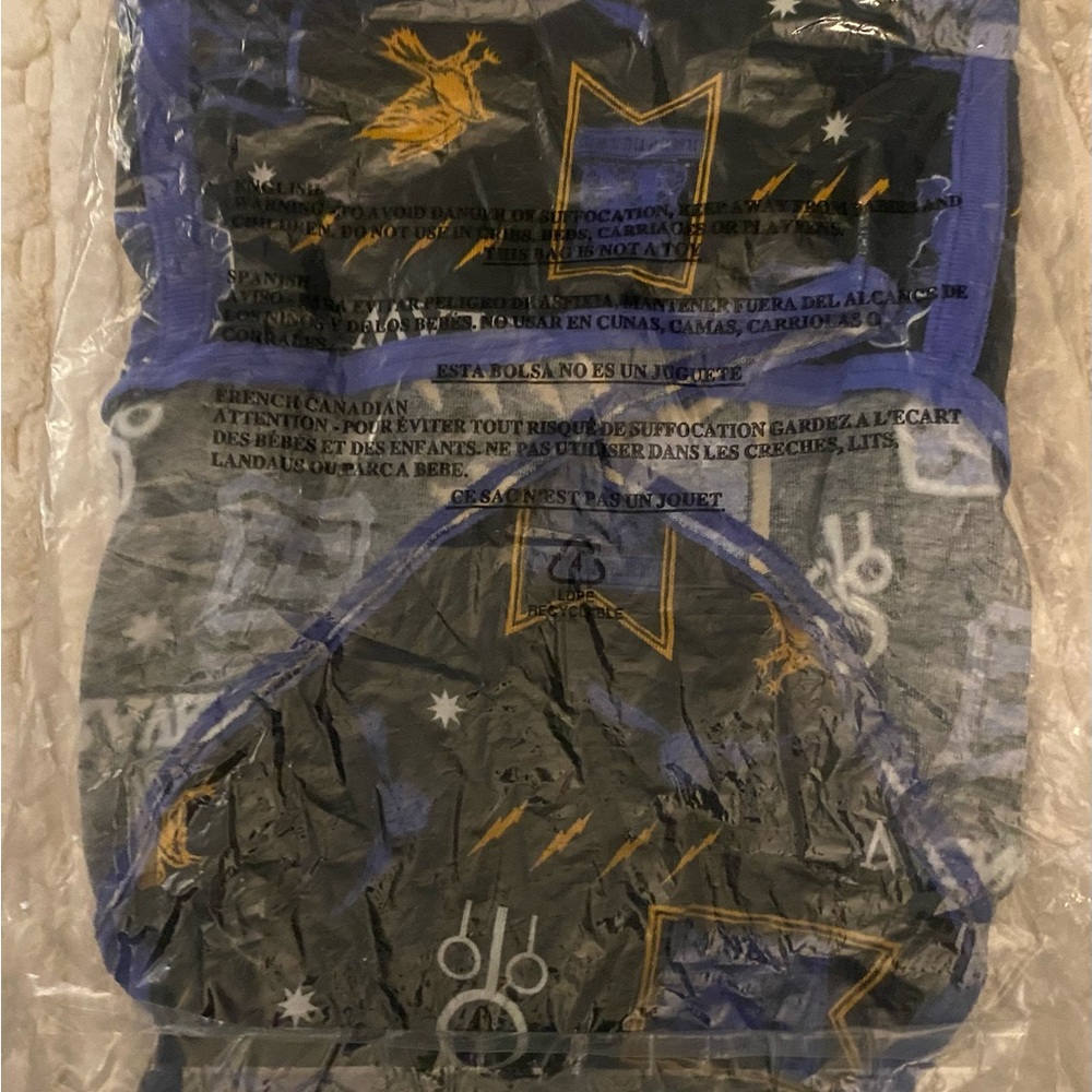 NWT Torrid Harry Potter ravenclaw panties 3X